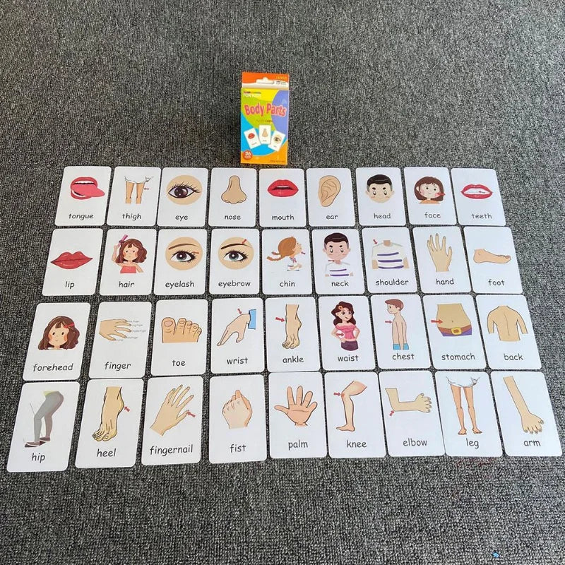 36 PCS Children Double Side Recognition Card